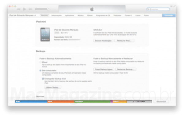 Informações do iPad mini no iTunes