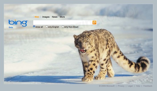 Bing com Snow Leopard
