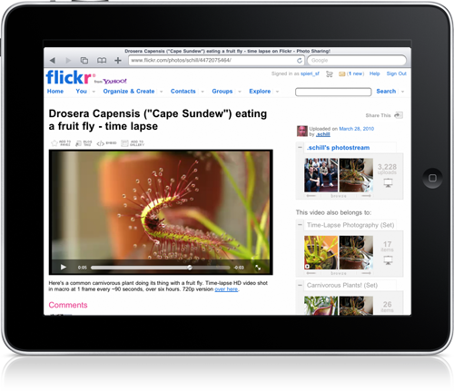 Vídeo do Flickr no iPad via HTML5