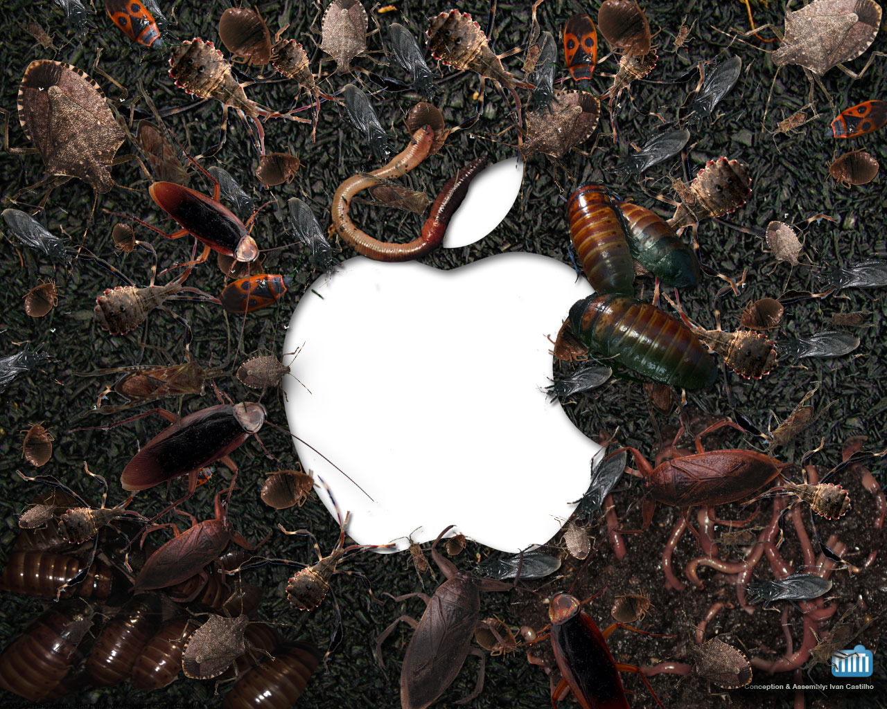 Baratas e insetos (vírus) em volta de logo da Apple