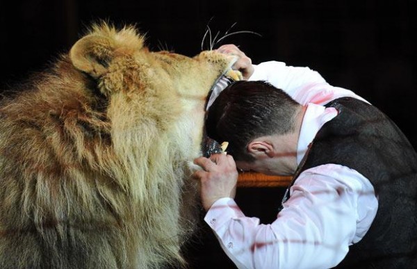 Domador de leões - AFP/GETTY