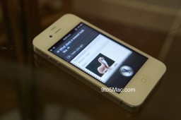 Siri e doninha num iPhone 4