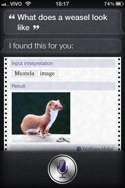 Siri - What does a weasel look like?