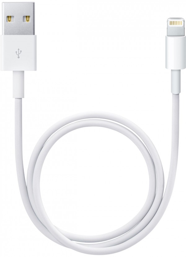 Apple - Cabo de Lightning para USB (0,5 m)
