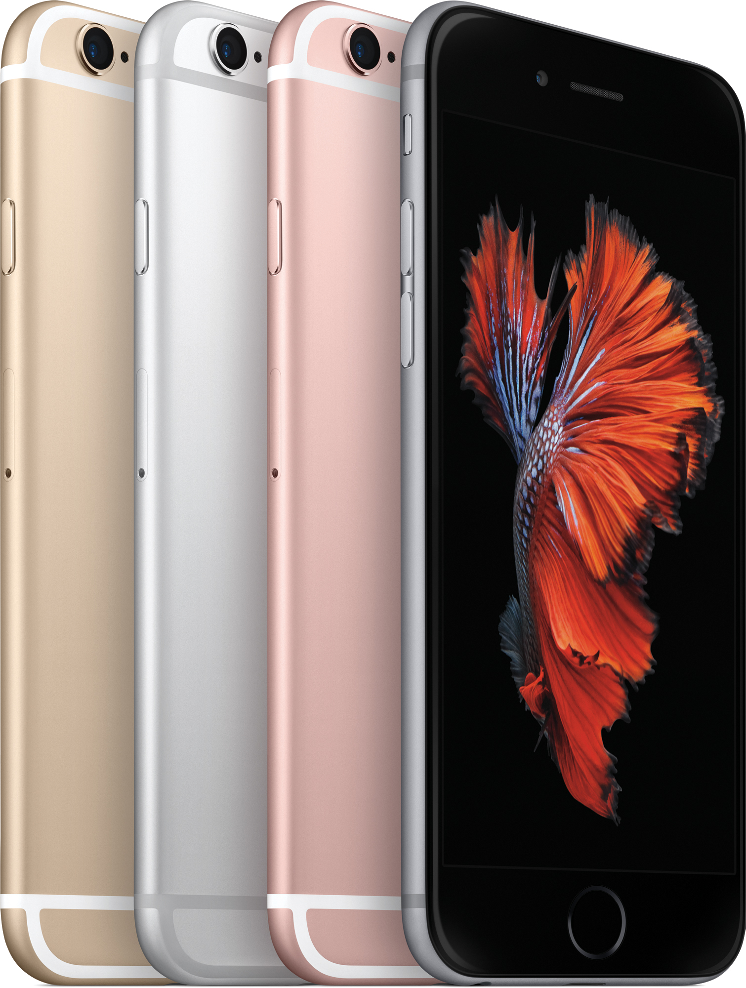 Família de iPhones 6s - dourado, prateado, ouro rosé e cinza espacial