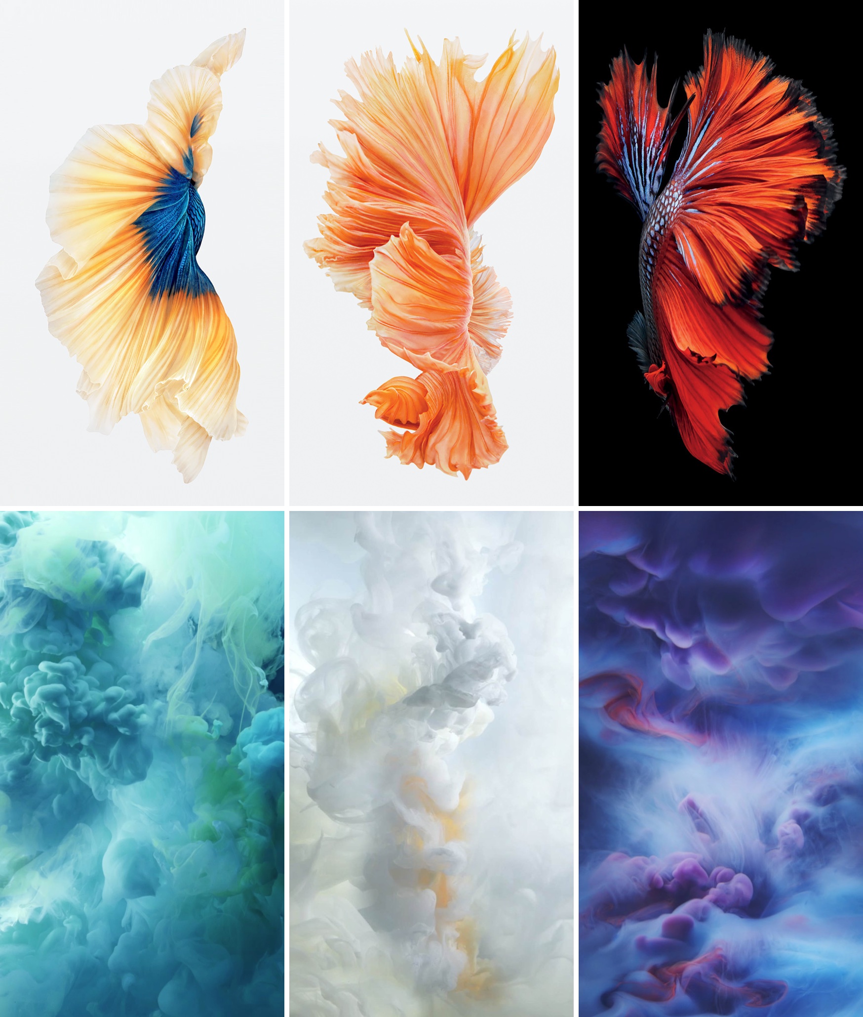 Wallpapers dos novos iPhones