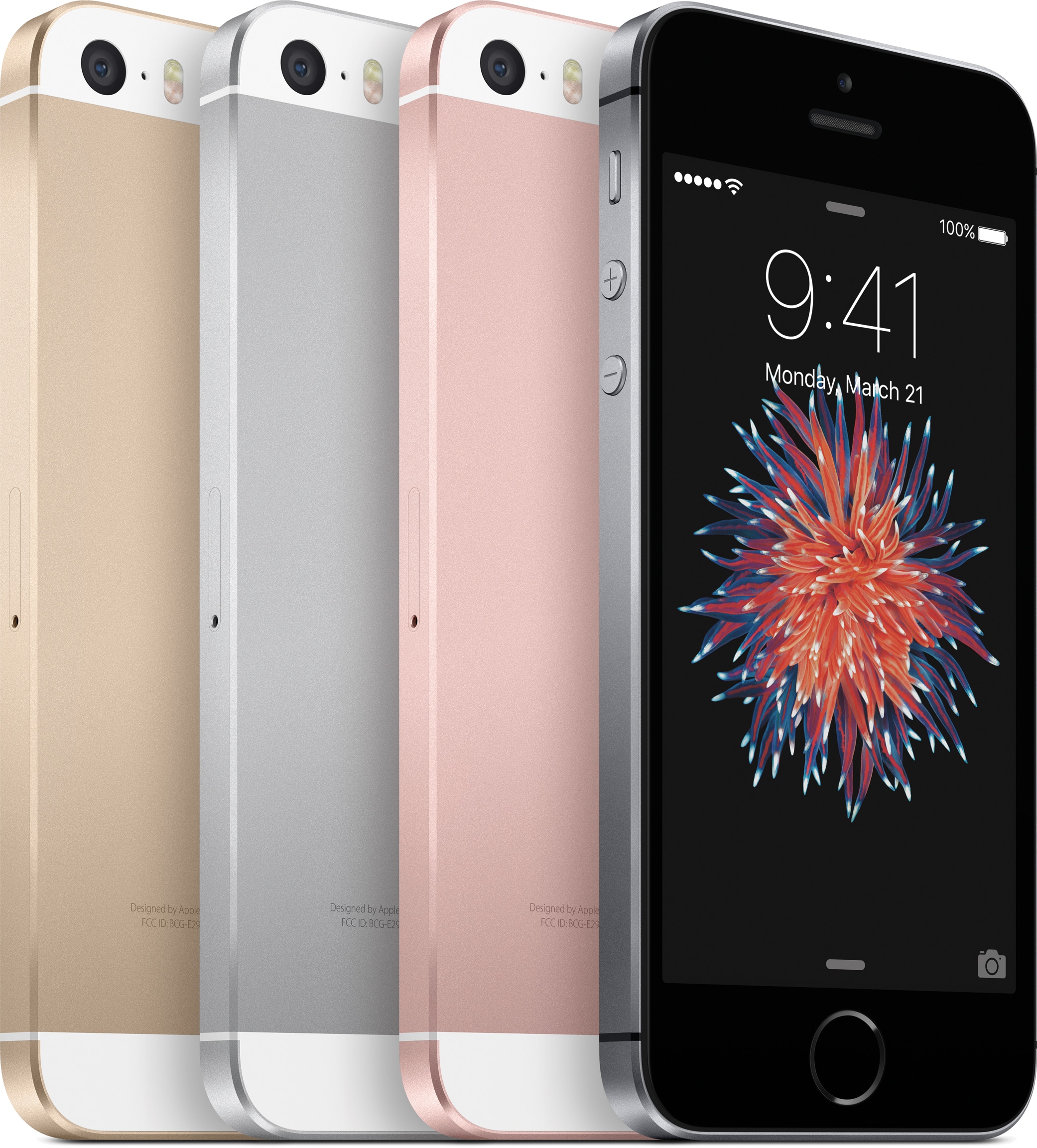 iPhones SE em todas as cores lado a lado