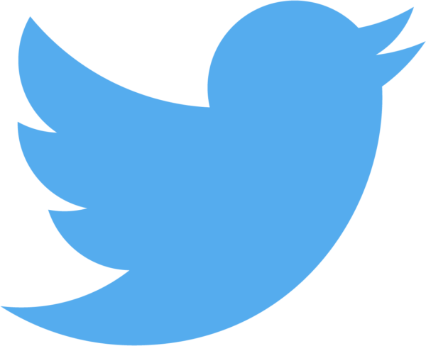 Logo do Twitter (passarinho/bird)