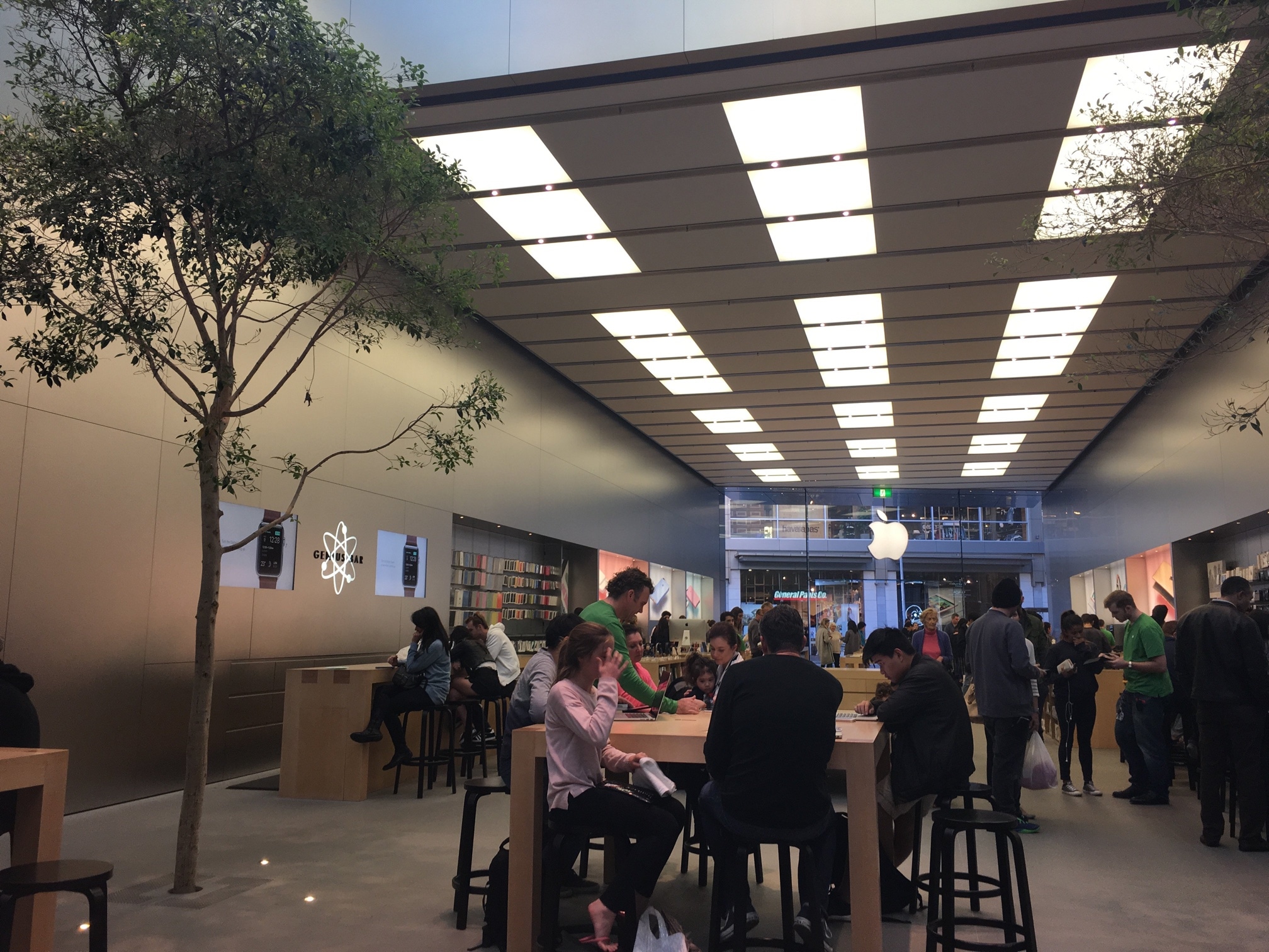 Apple Store, Bondi