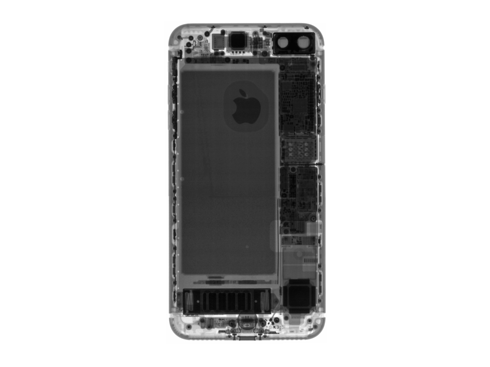 Desmontagem do iPhone 7 Plus feita pela iFixit