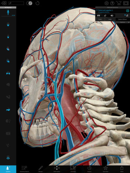 Human Anatomy Atlas 2018