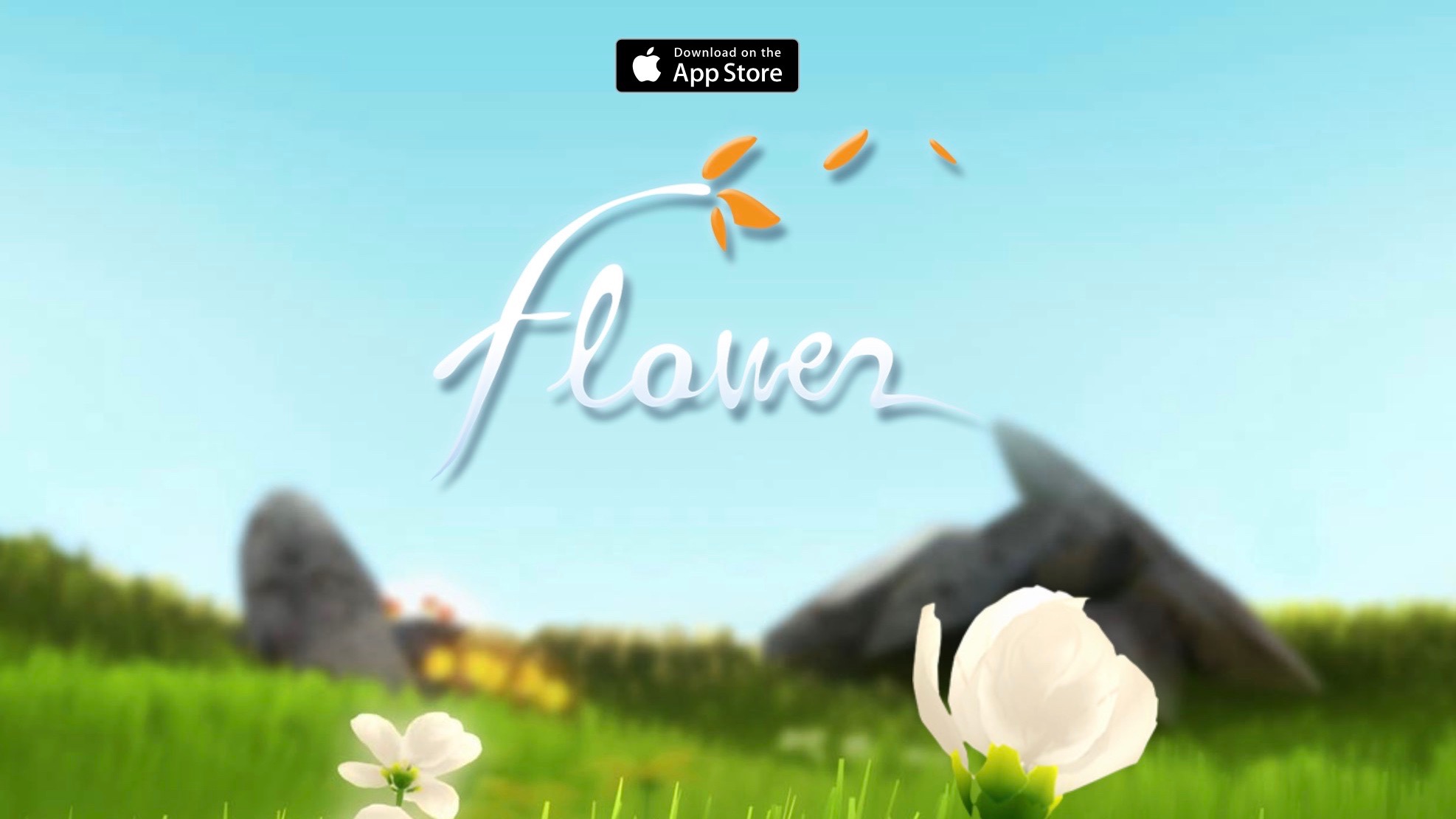 Flower iOS