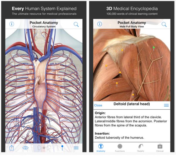 Pocket Anatomy