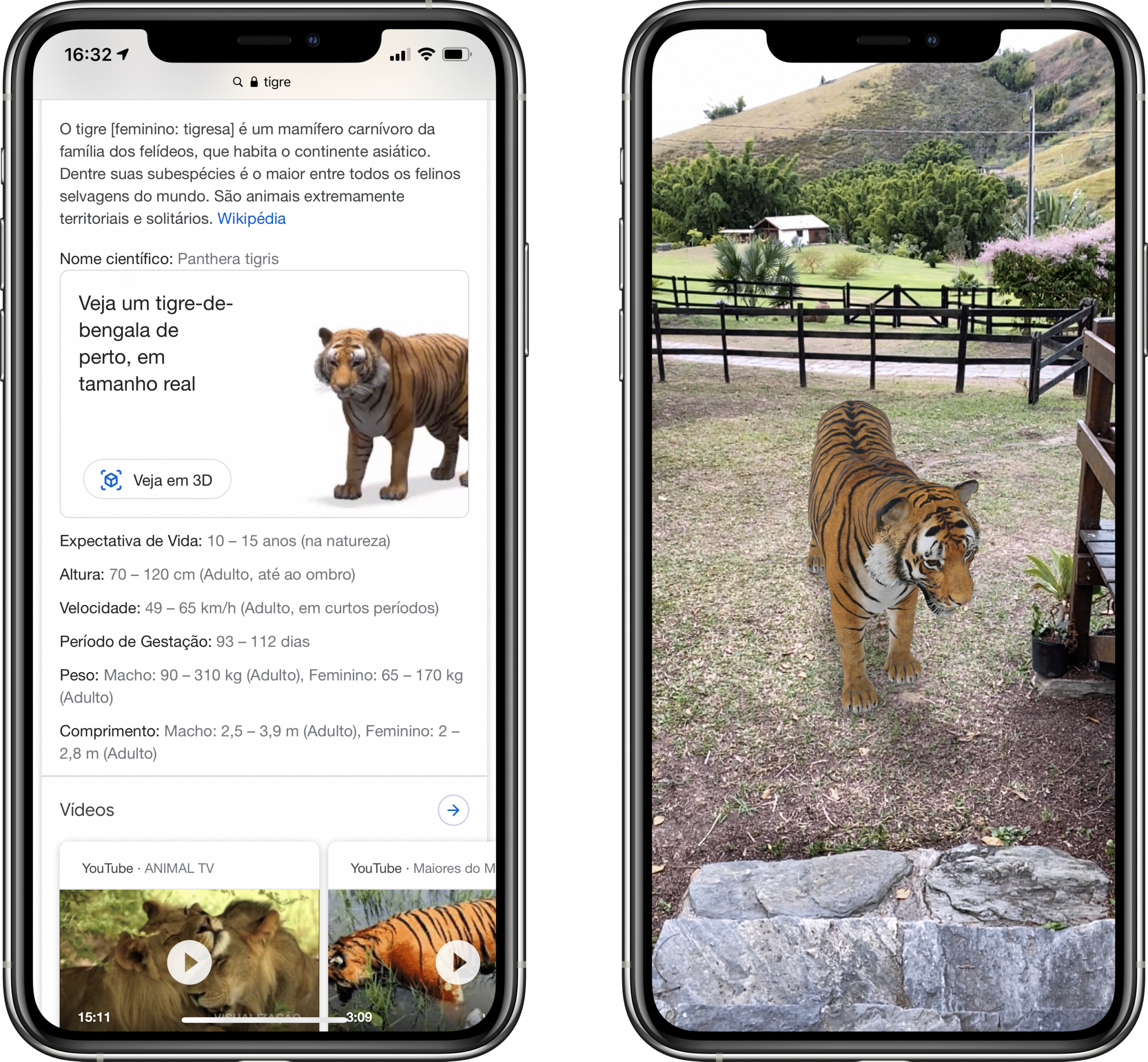 Google permite ver animais em 3D com realidade aumentada - Go Outside