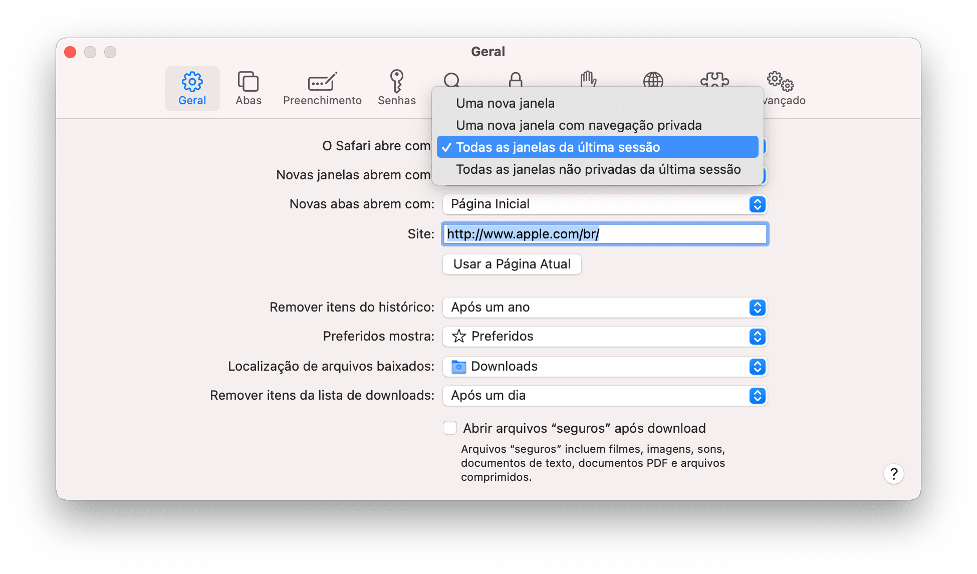 Como fechar todas as abas abertas ao mesmo tempo do Safari no iOS 7 – Blog  Soluciomática