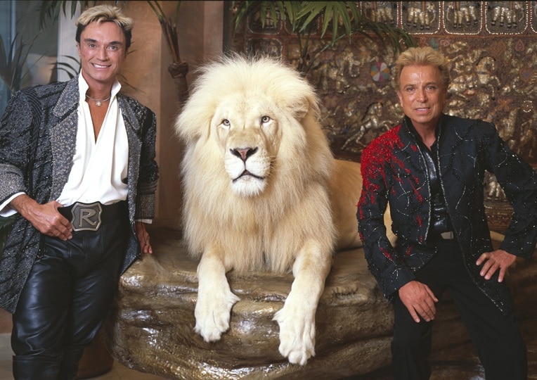 Dupla Siegfried & Roy com um leão branco