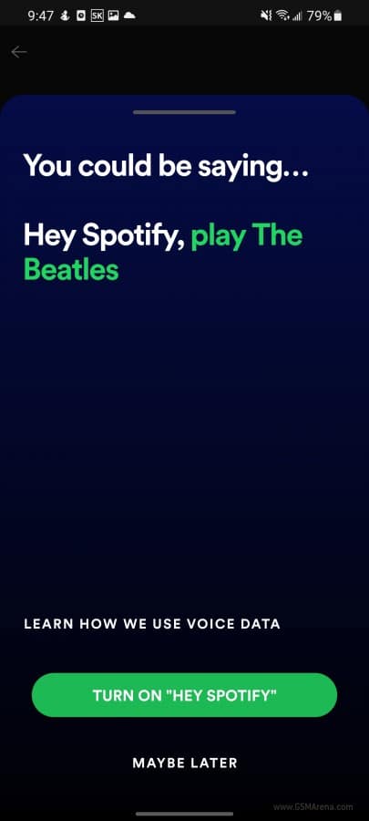 Assistente digital "Hey Spotify"