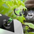 Vidro Gorilla Glass with DX para lentes de câmeras