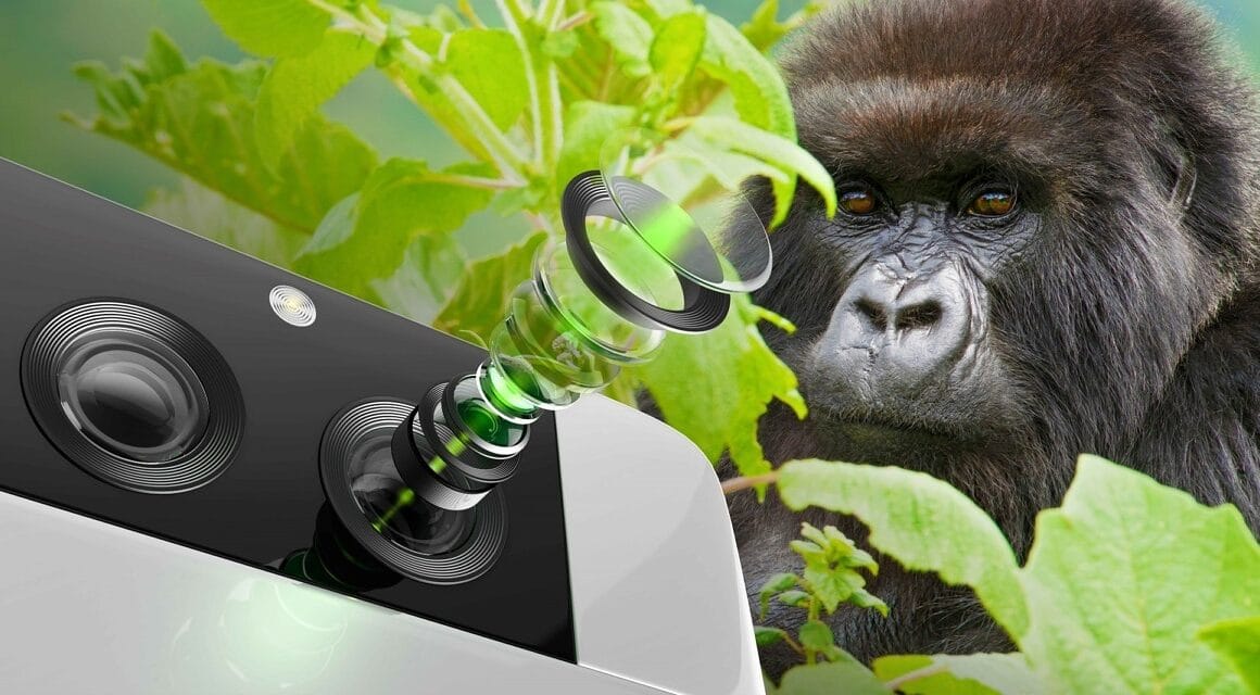 Vidro Gorilla Glass with DX para lentes de câmeras