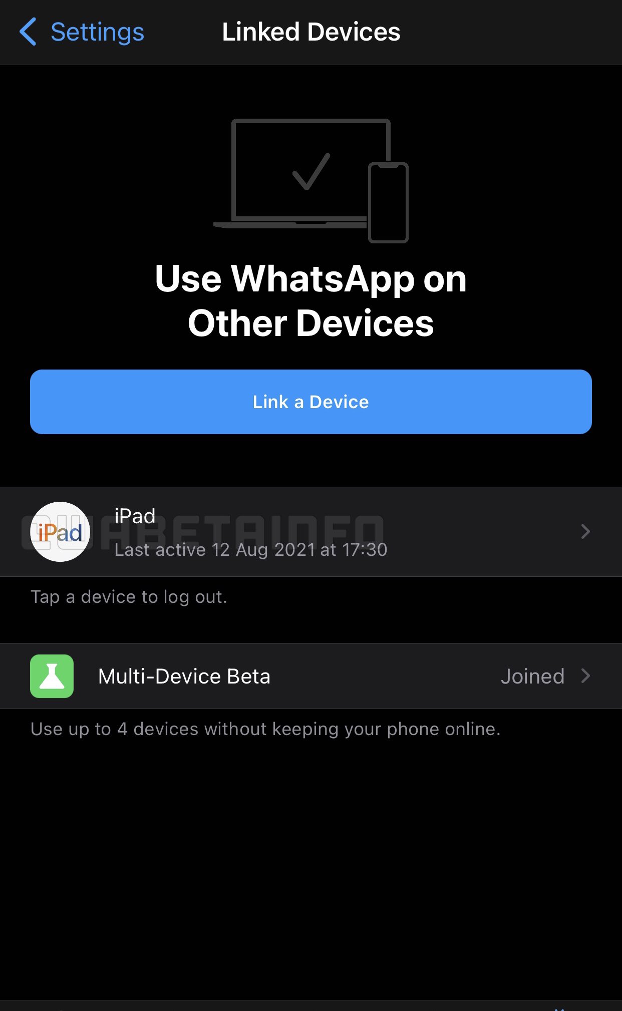 WhatsApp no iPad