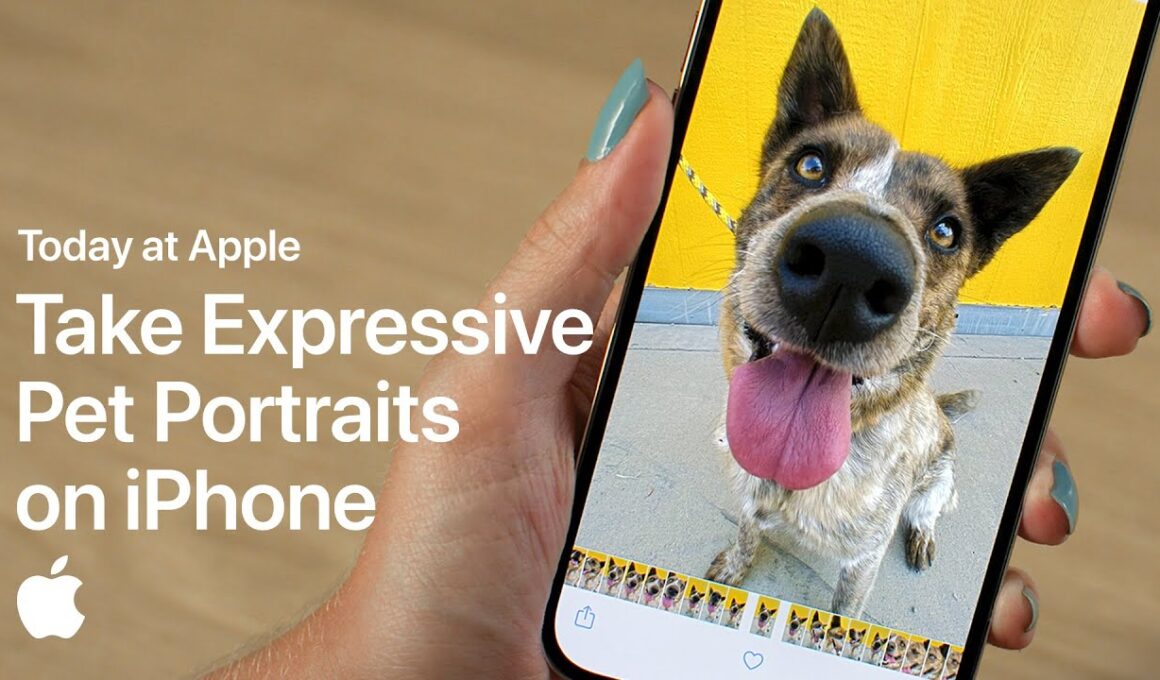 Today at Apple ensina como tirar fotos melhores do seu pet