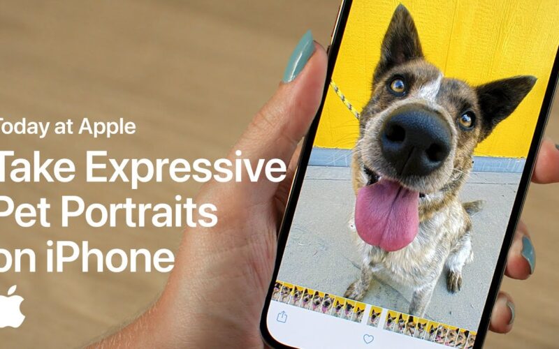 Today at Apple ensina como tirar fotos melhores do seu pet