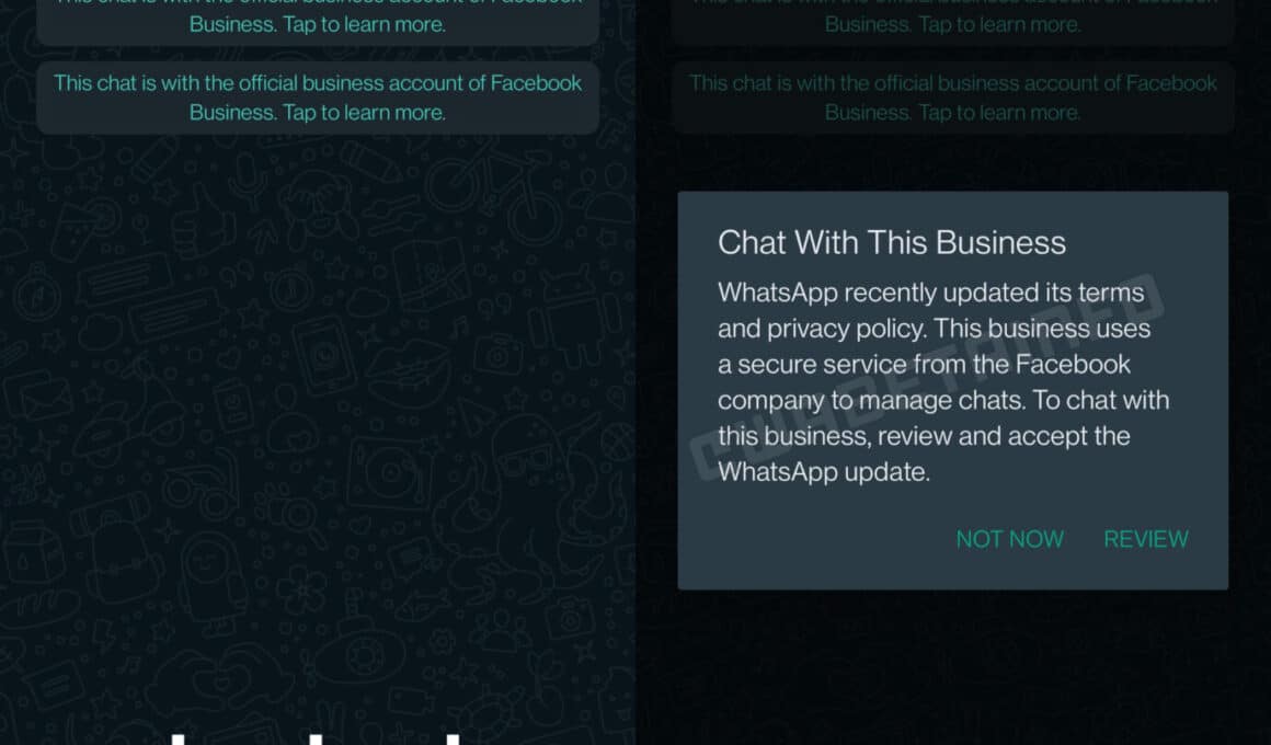 Conversa bloqueada no WhatsApp Business para quem não aceitar nova política de privacidade