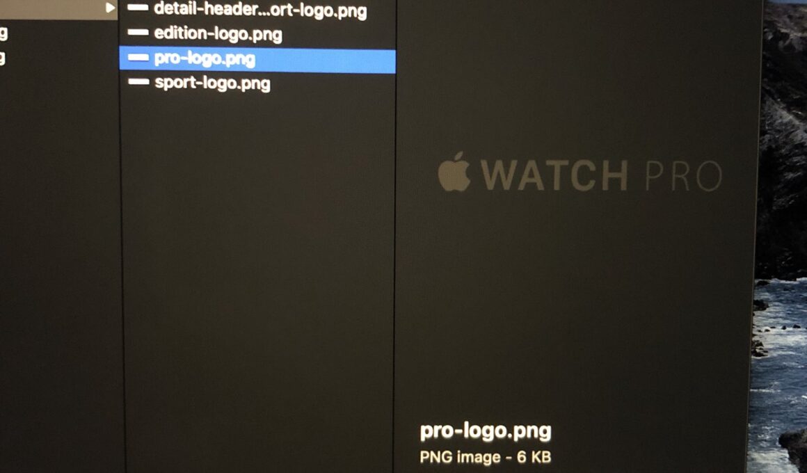 "Apple Watch Pro"