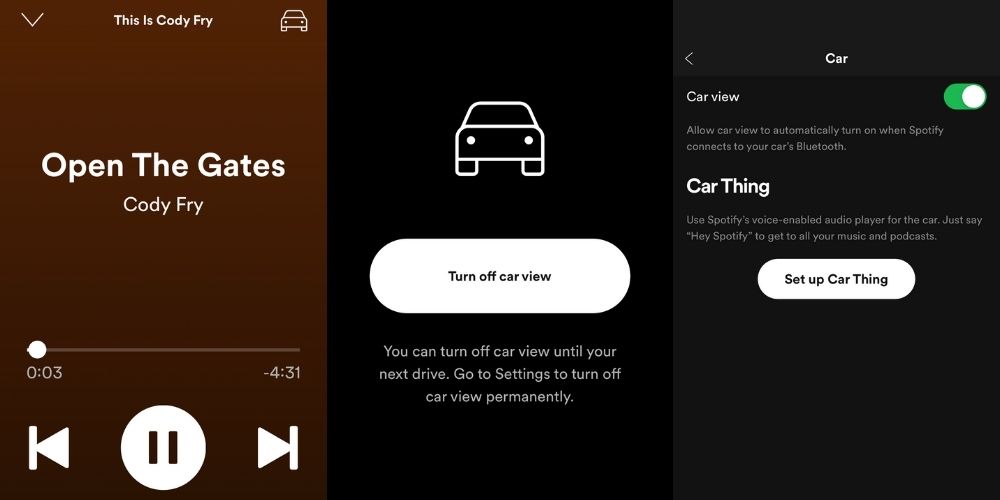 Car View do Spotify