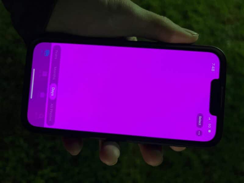 iPhone 13 com a tela roxa