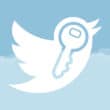 Logo do Twitter com uma chave dentro (segurança)