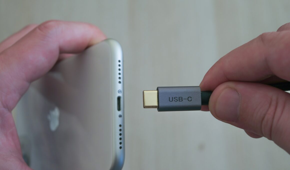 iPhone e cabo USB-C
