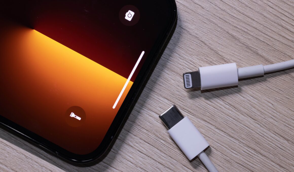 iPhone e cabo Lightning/USB-C