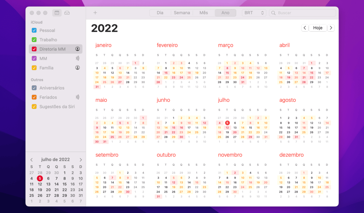 Visualização "Ano" do Calendário do Mac
