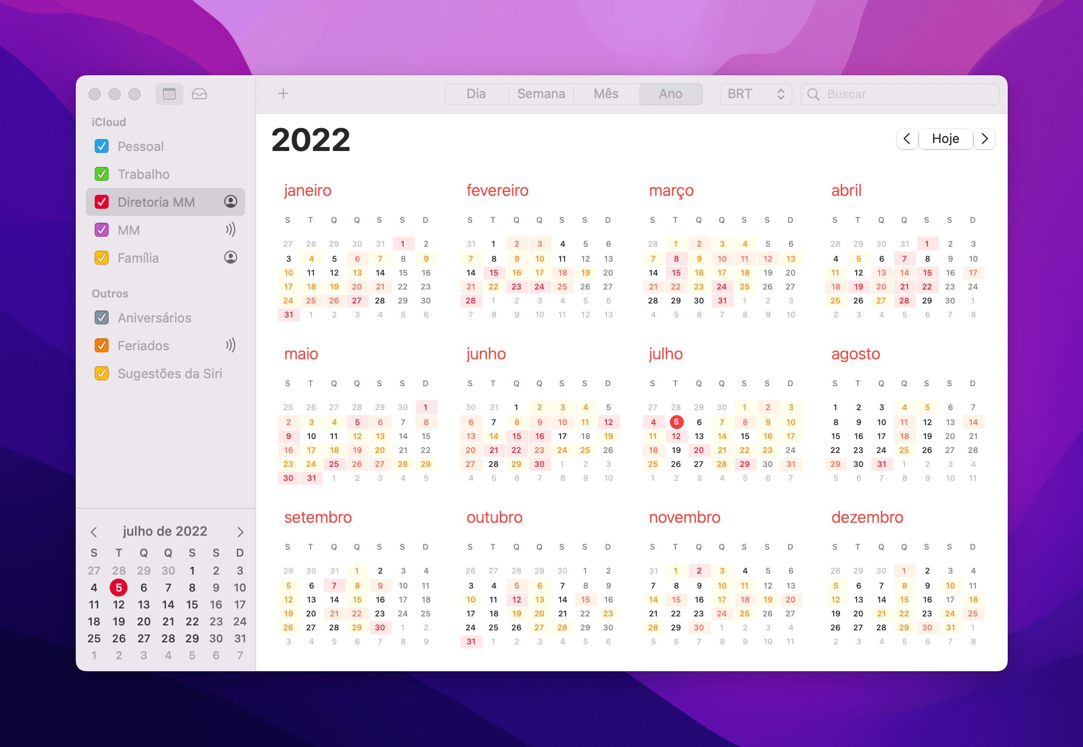 Visualização "Ano" do Calendário do Mac