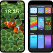 iOS 16 wallpaper peixes-palhaço clownfish