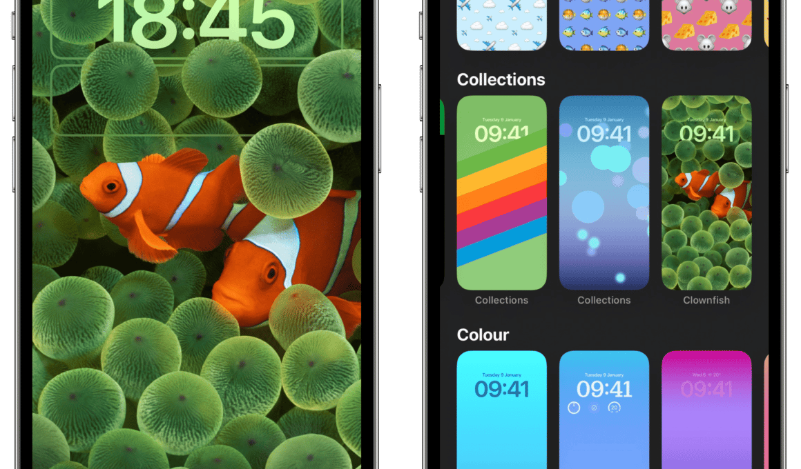 iOS 16 wallpaper peixes-palhaço clownfish