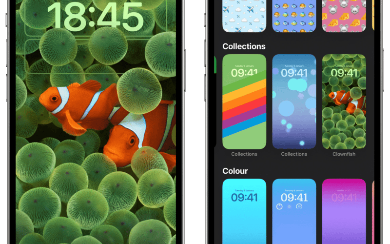 iOS 16 wallpaper peixes-palhaço clownfish