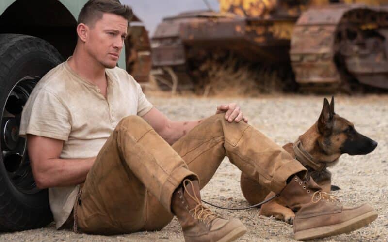 Filme - Dog – A Aventura De Uma Vida
