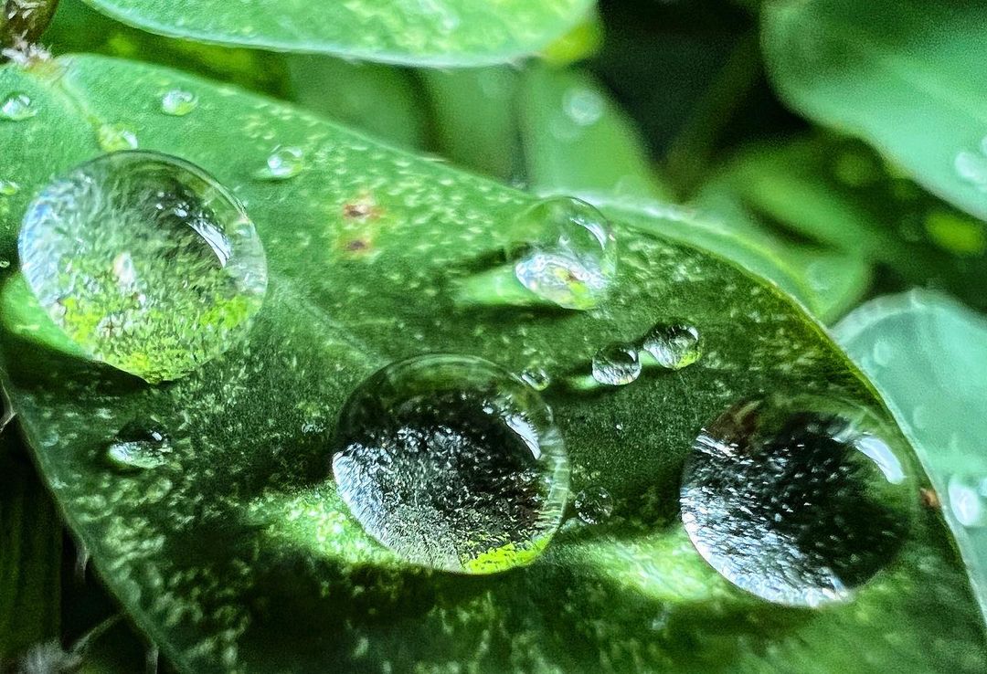 Foto para o Mural MM