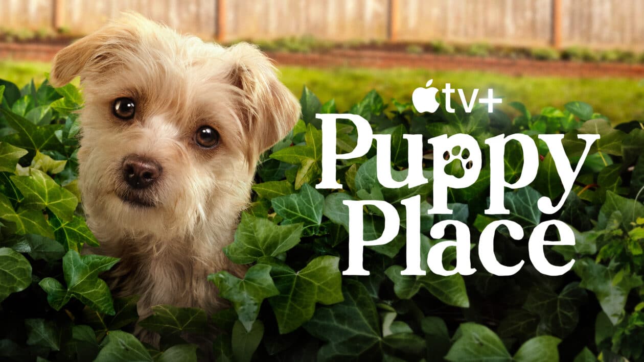Apple TV+ veröffentlicht den Trailer zur zweiten Staffel von „Puppy Place“.