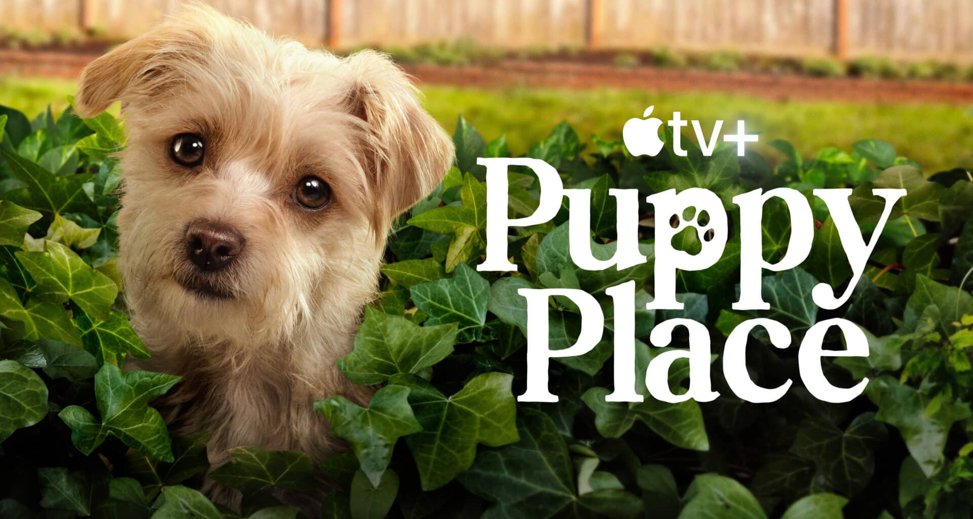 Série infantil "Puppy Place", do Apple TV+