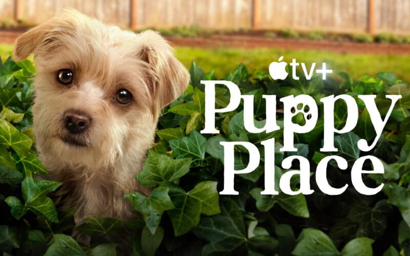 Série infantil "Puppy Place", do Apple TV+