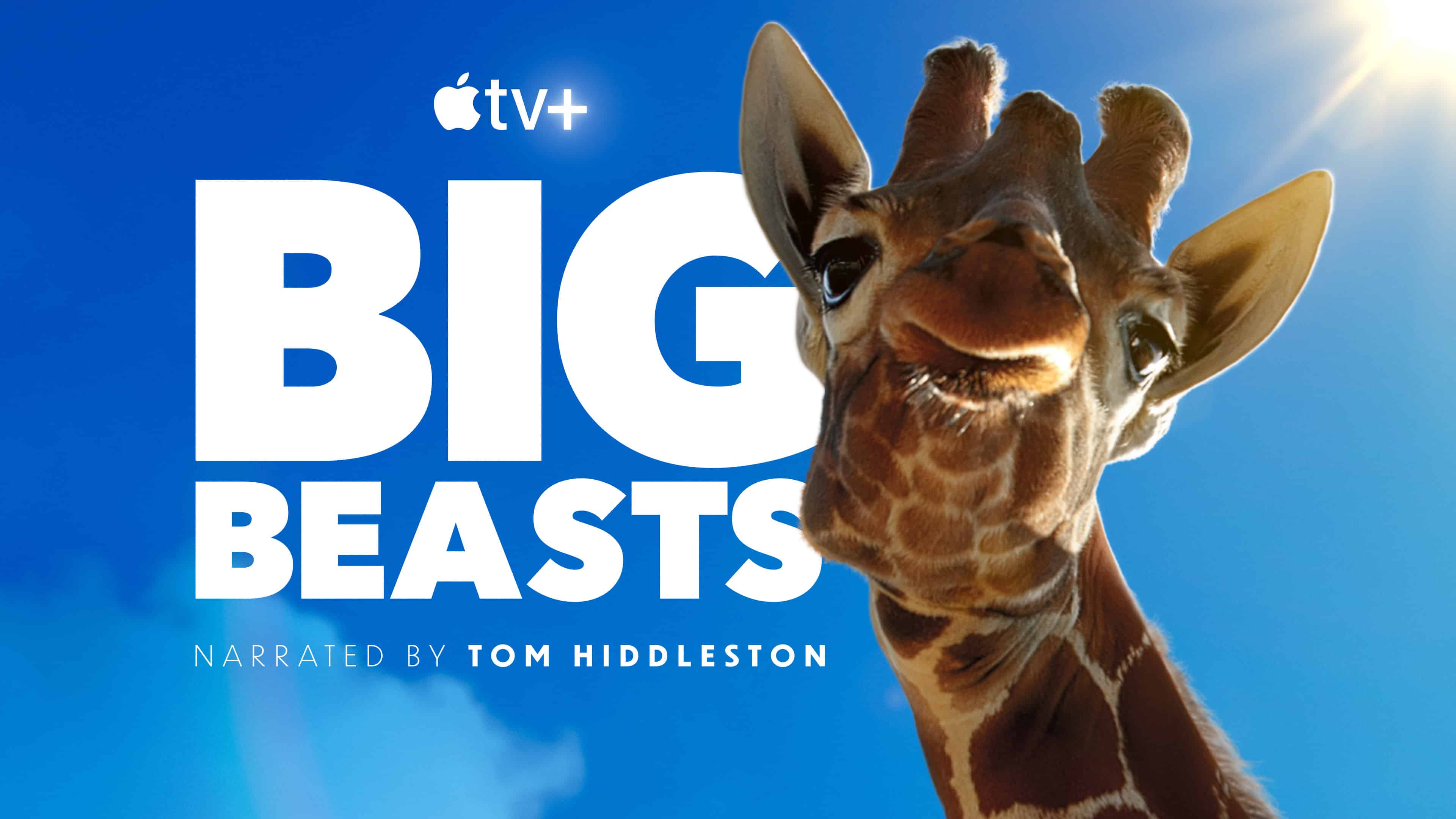 Apple TV+ lança trailer e data de estreia de “Big Beasts”