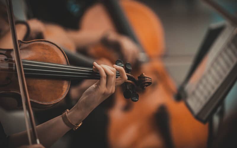 Violino