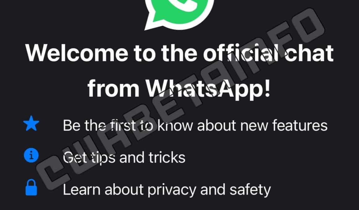 Alerta do chat oficial do WhatsApp