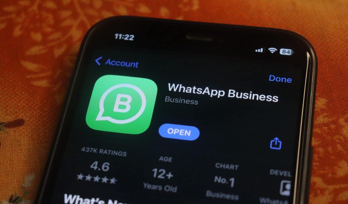 WhatsApp Business na App Store