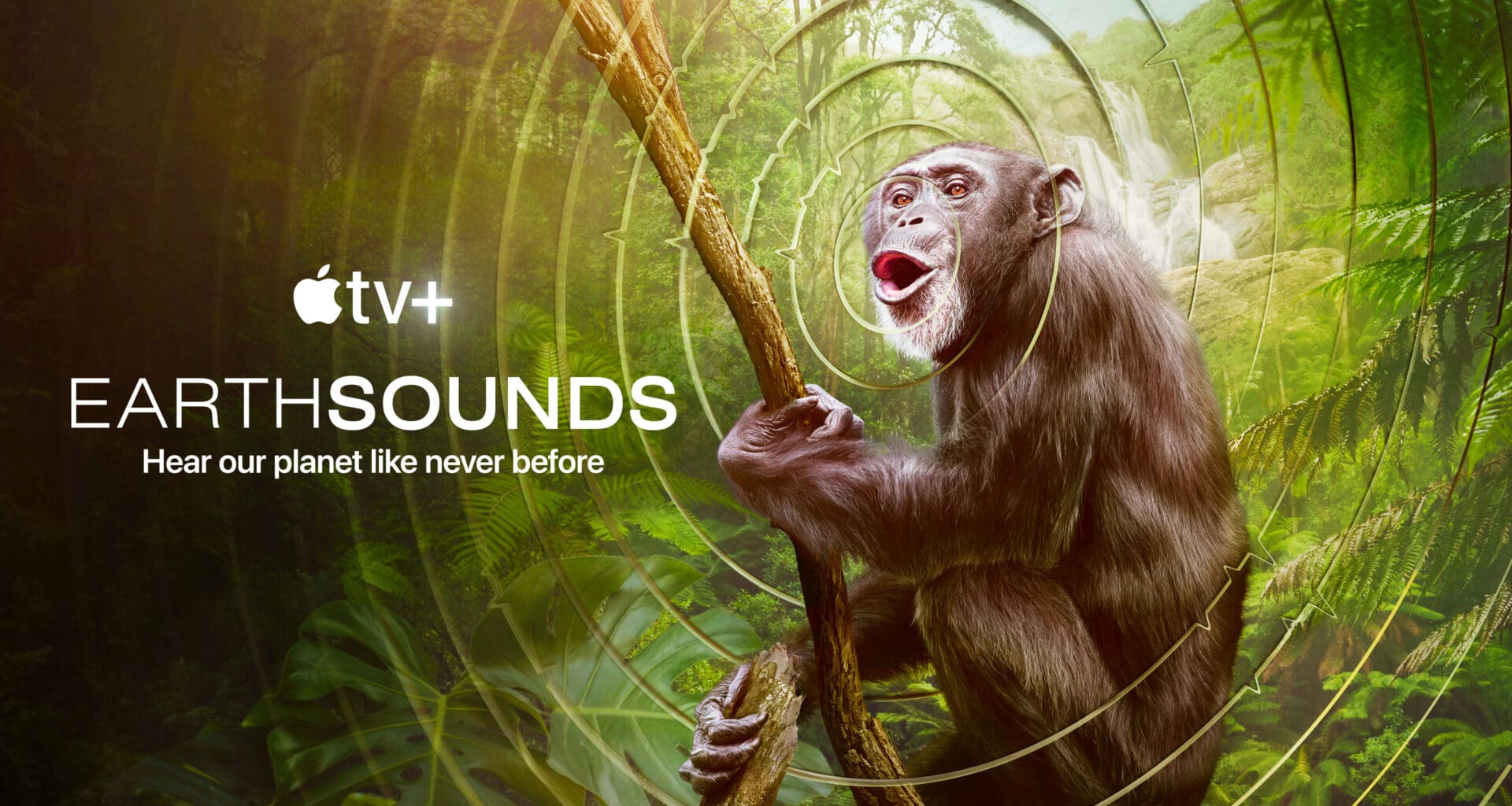 "Sons da Natureza" ("Earthsounds"), do Apple TV+