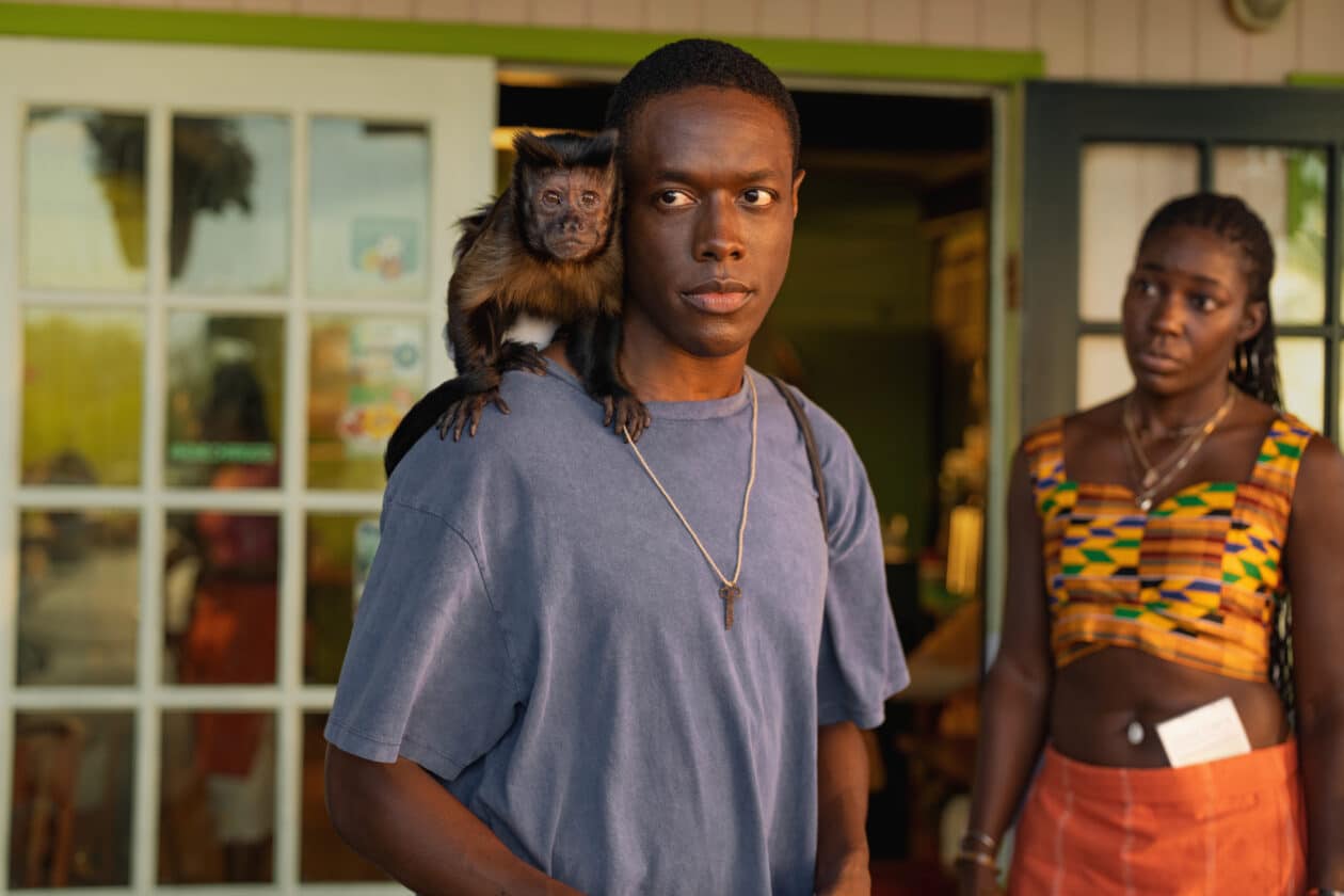 "Bad Monkey"
