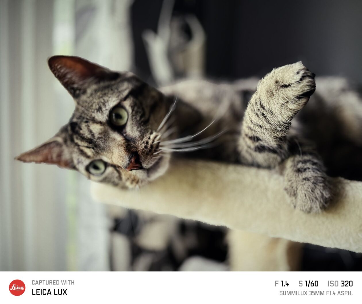 Aplicativo Leica LUX, que simula câmeras Leica
